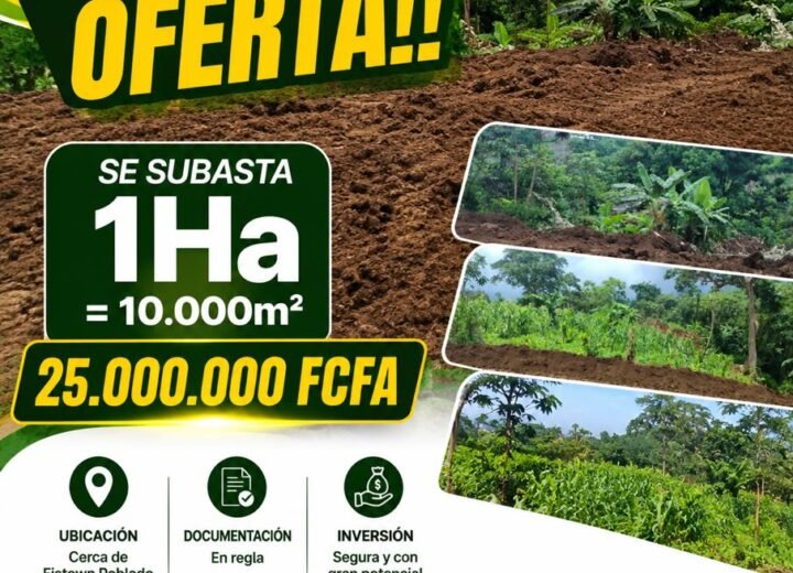 Subasta de 5 mil metros cuadrados