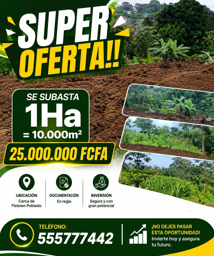 Subasta de 5 mil metros cuadrados