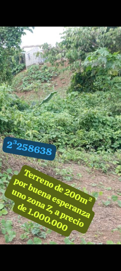 TERRENO EN VENTA