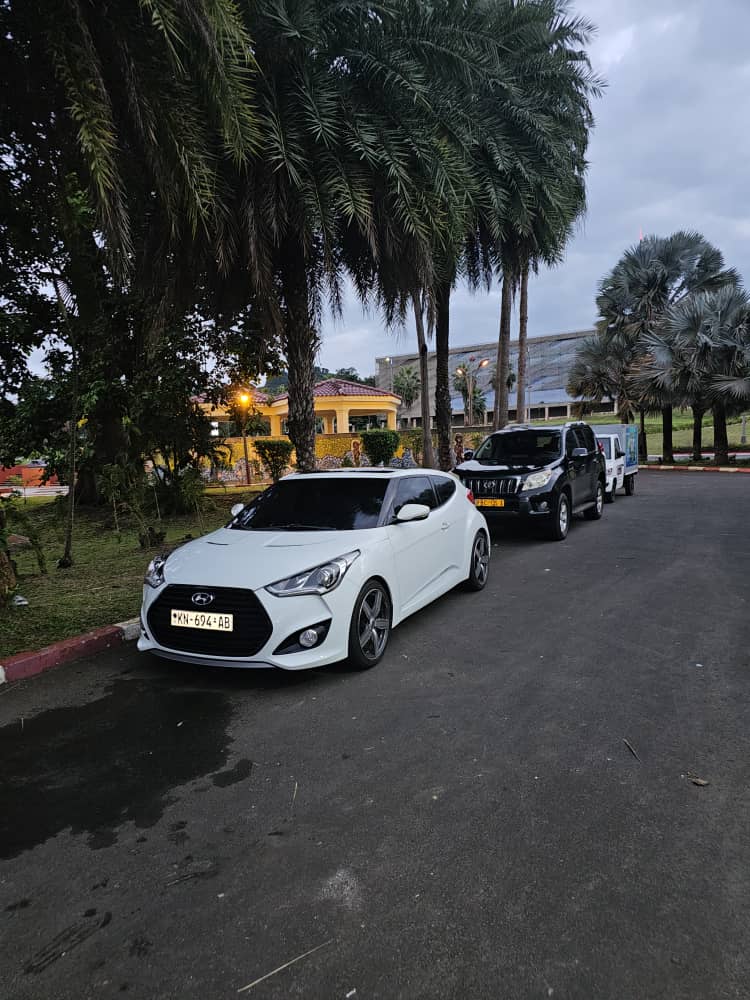 Hyundai Veloster
